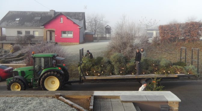 Distribution des Sapins de Noël : 10/12/2016